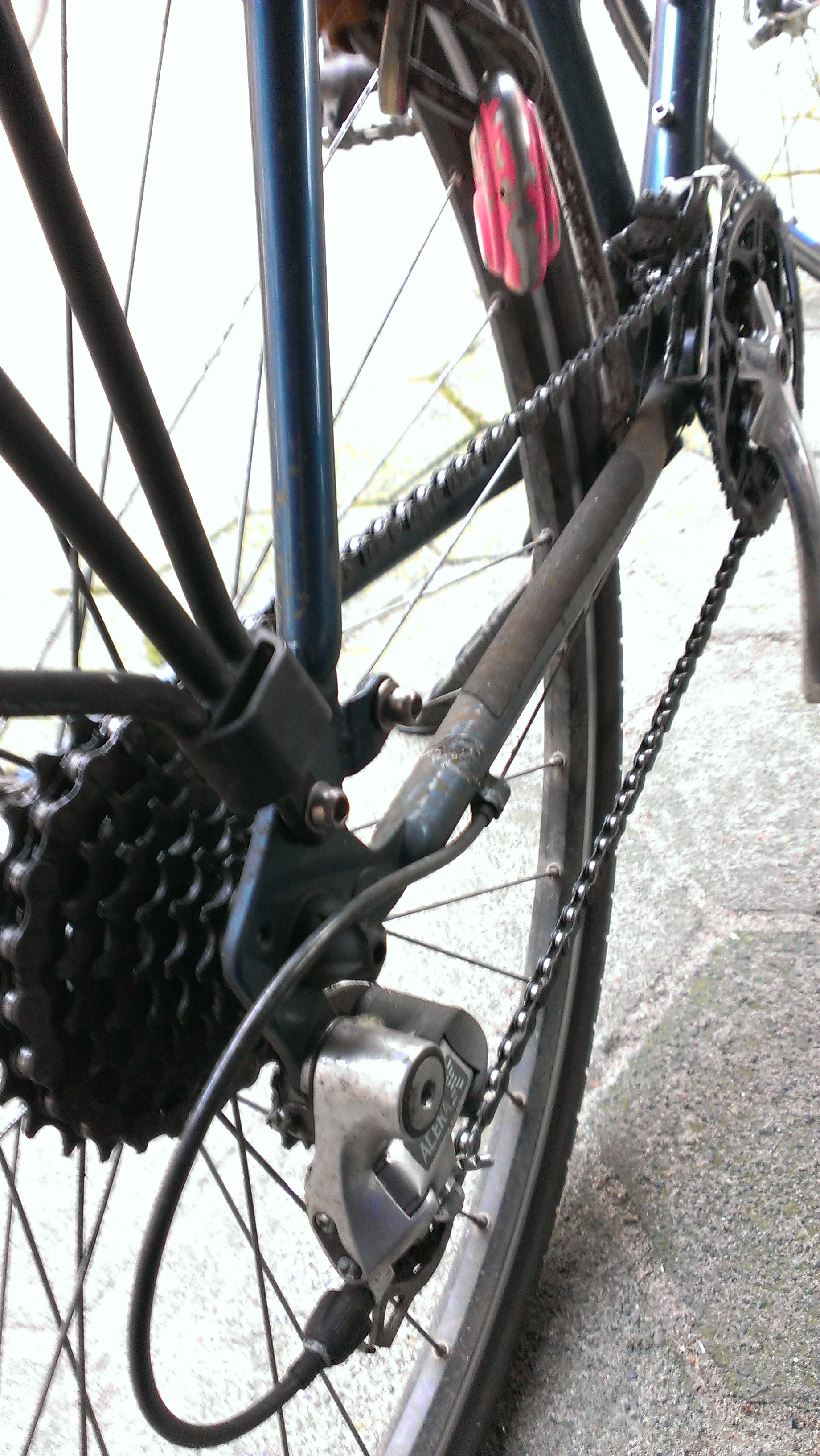 Picture for question