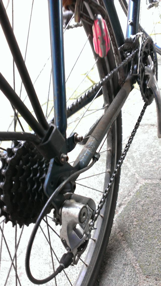 Picture for question