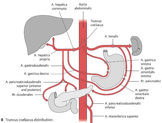 Plaatje bij antwoord