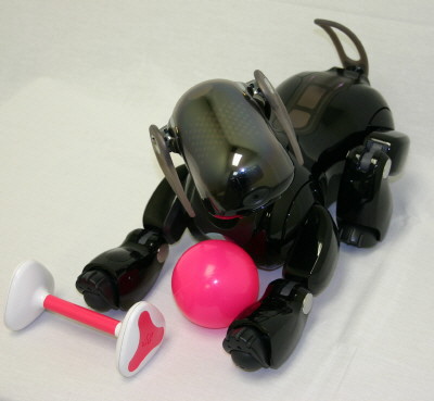 Plaatje bij antwoord