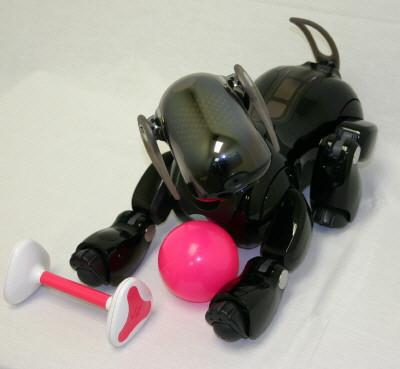 Plaatje bij antwoord