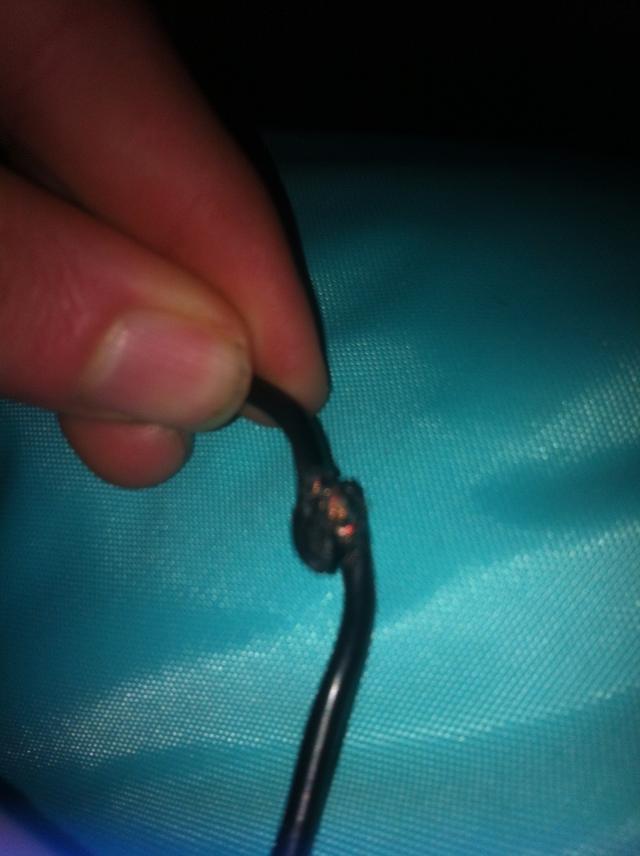 Picture for question