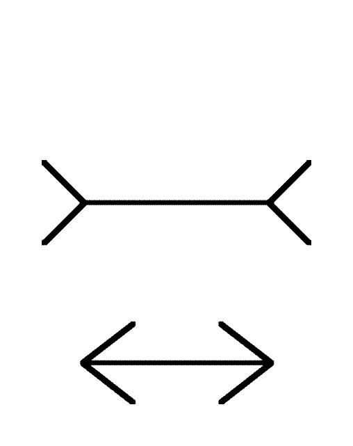 Plaatje bij antwoord