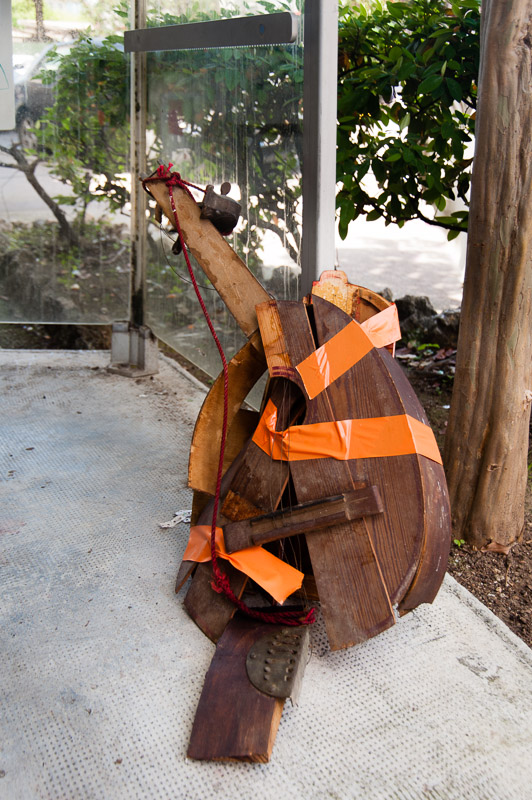 Picture for question