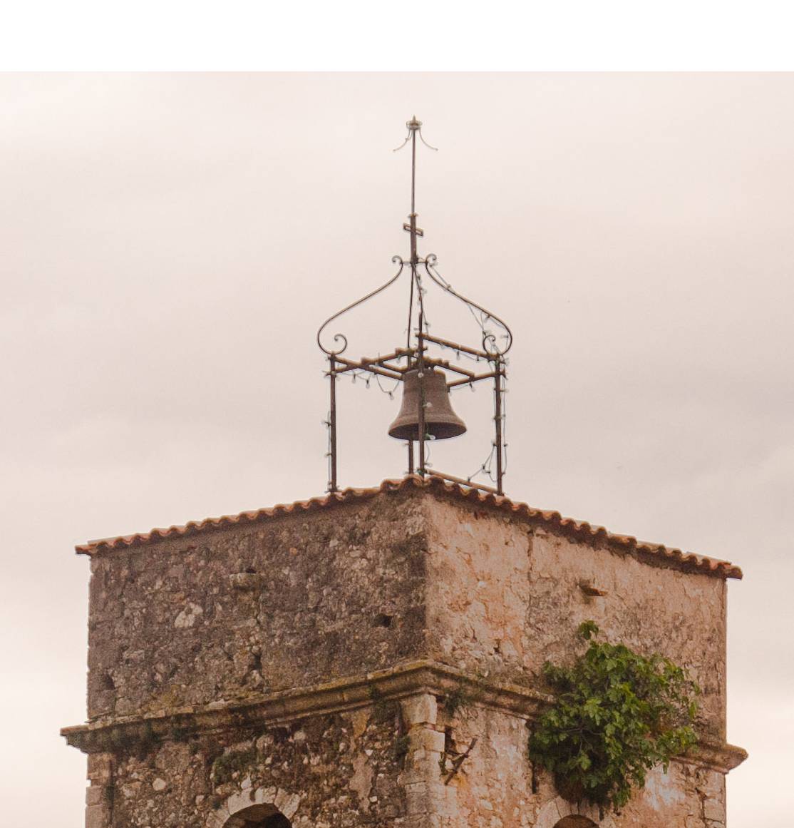 Picture for question