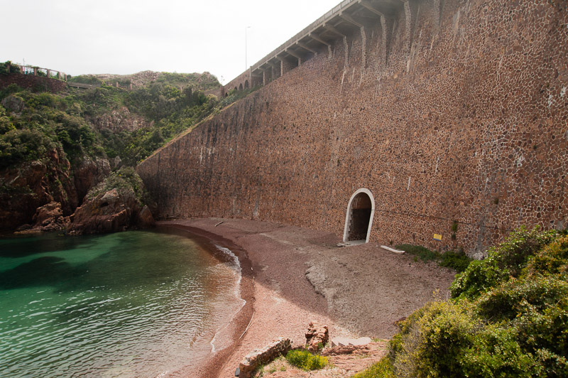 Picture for question