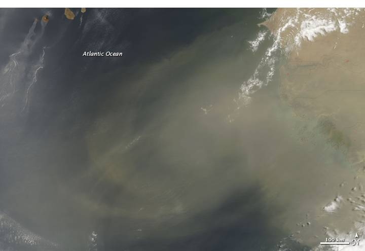 Picture for question