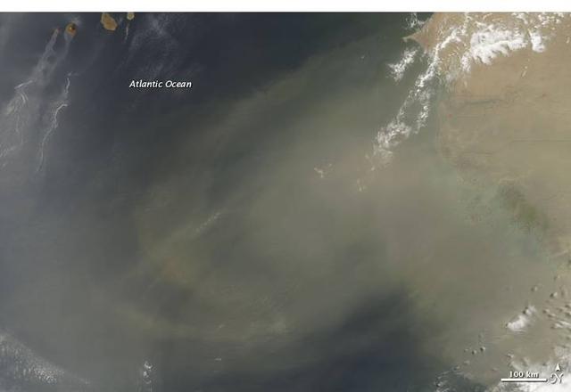 Picture for question