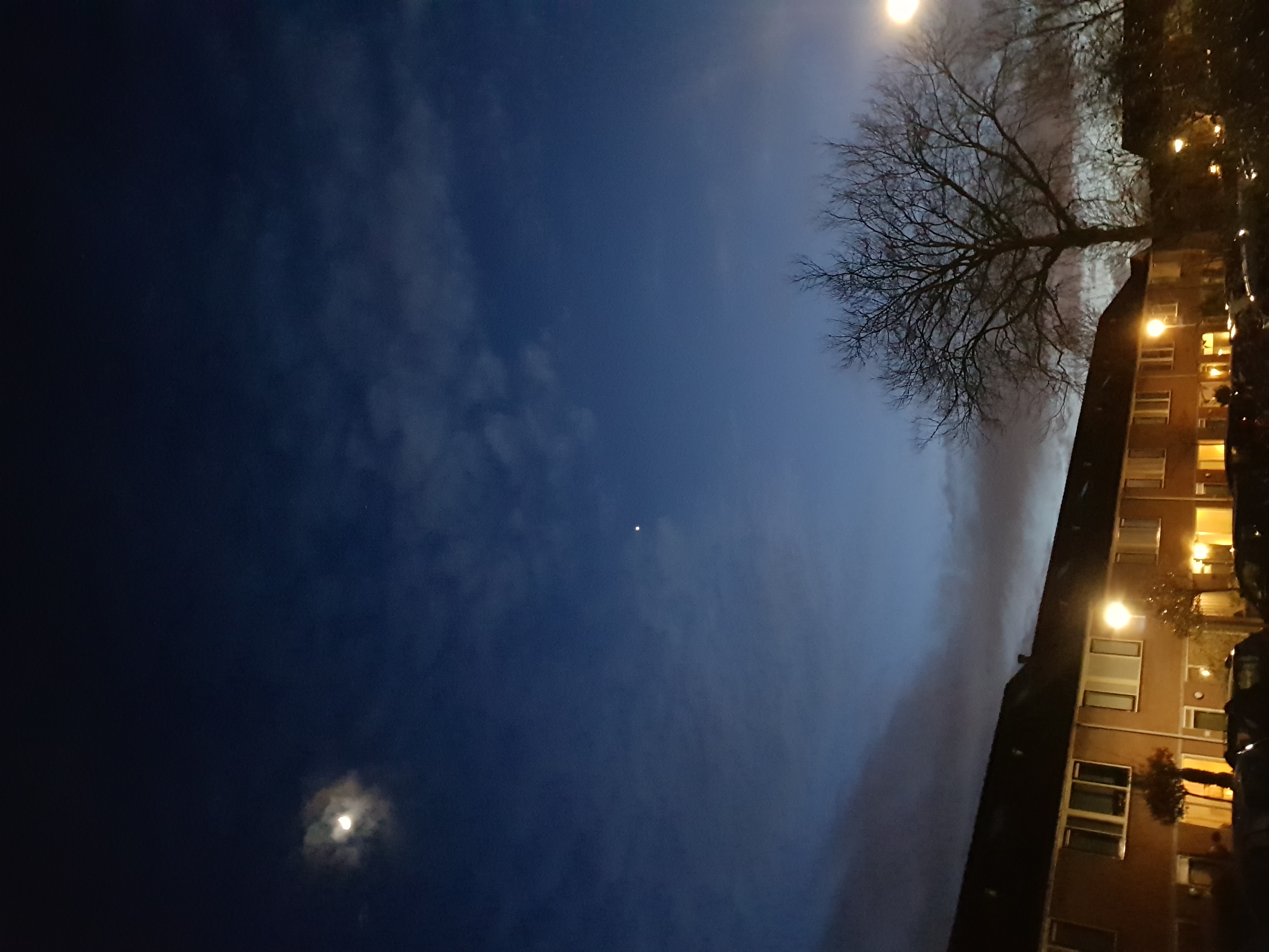 Picture for question