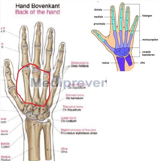 Plaatje bij antwoord