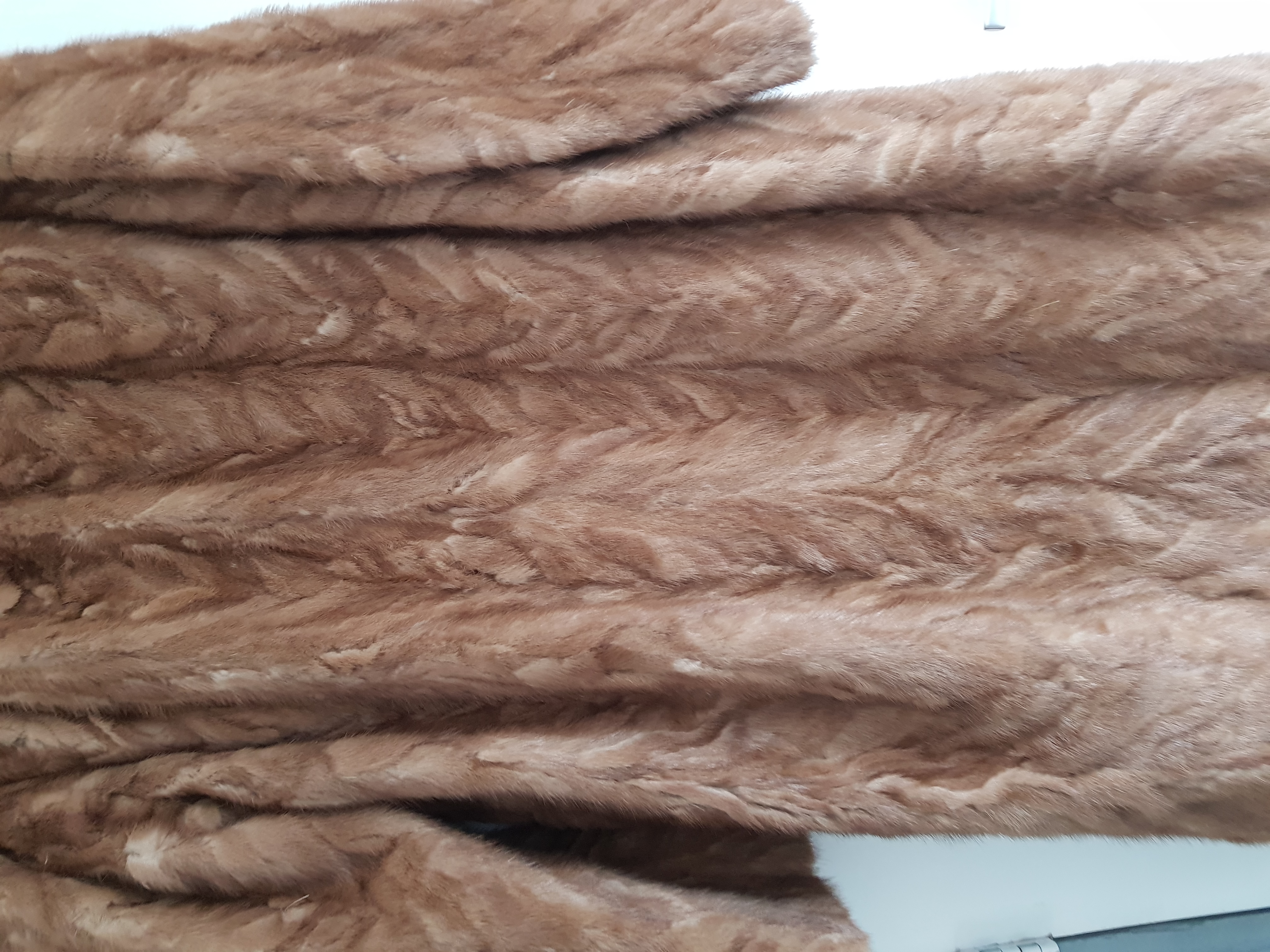 Picture for question