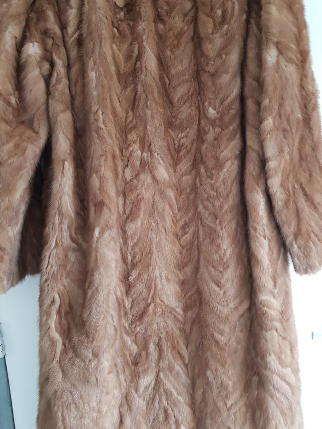 Picture for question