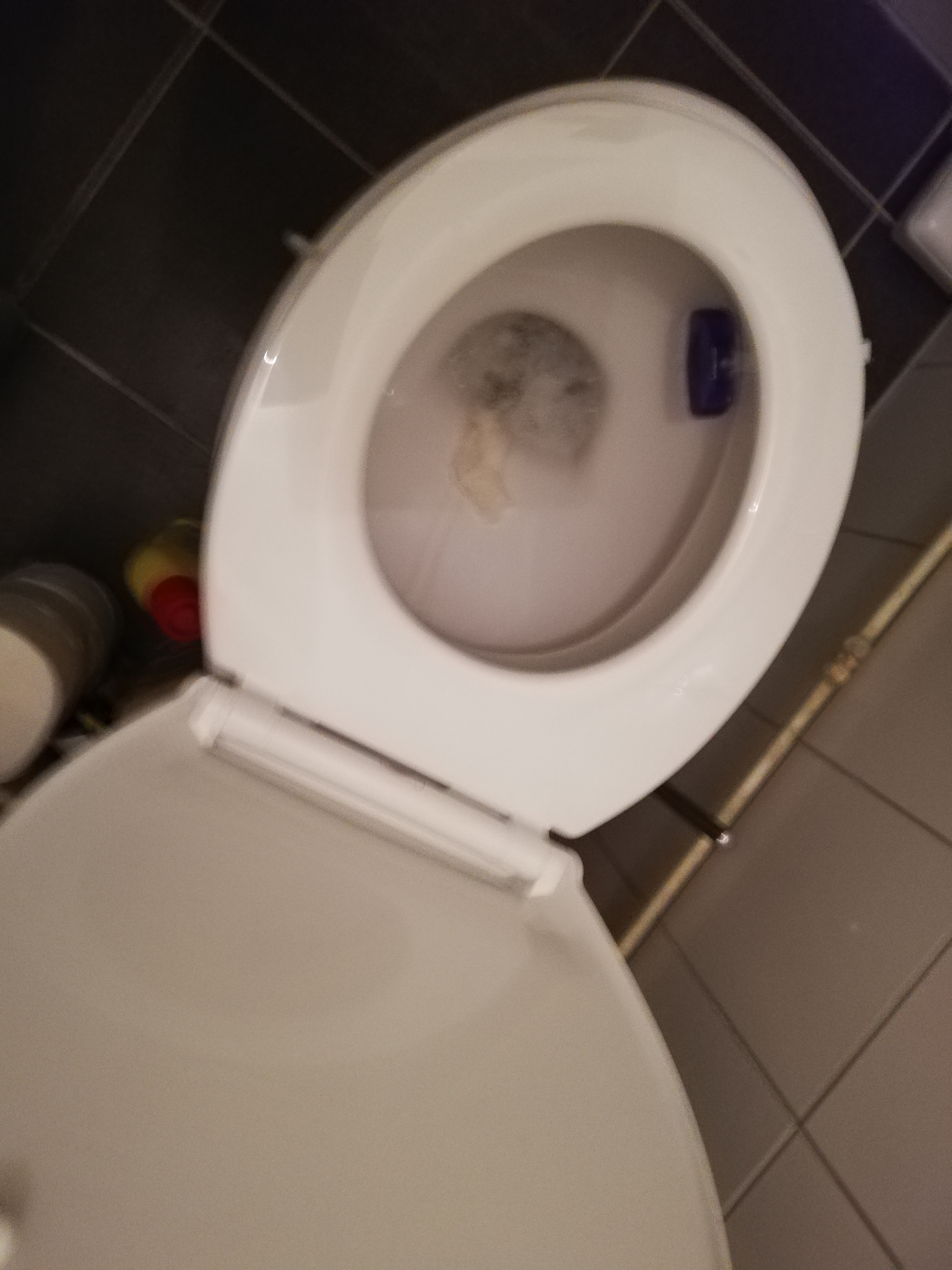 Picture for question