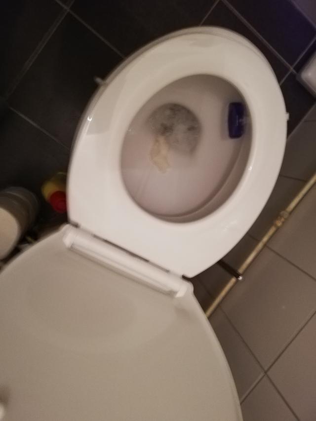 Picture for question