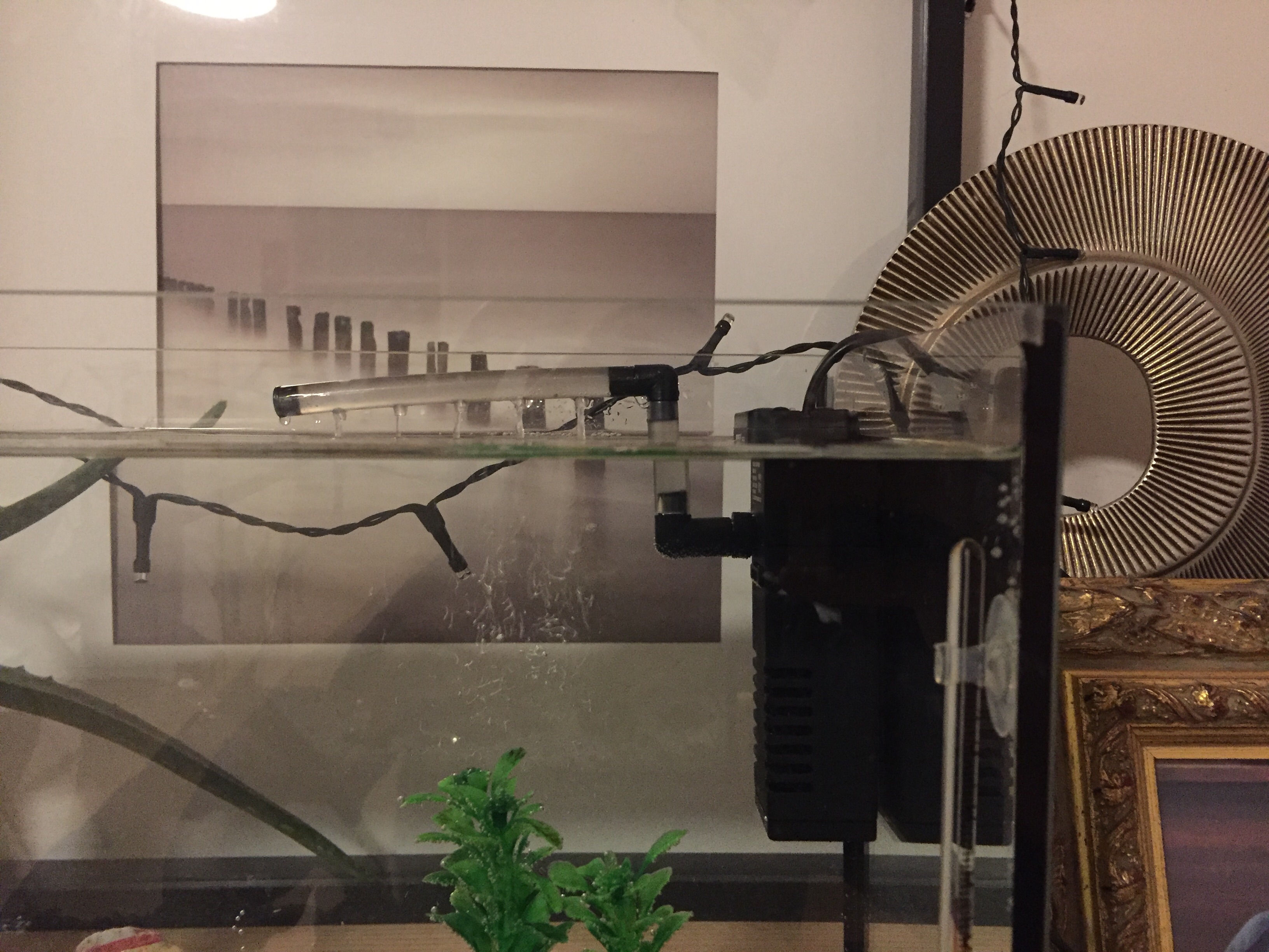 Picture for question