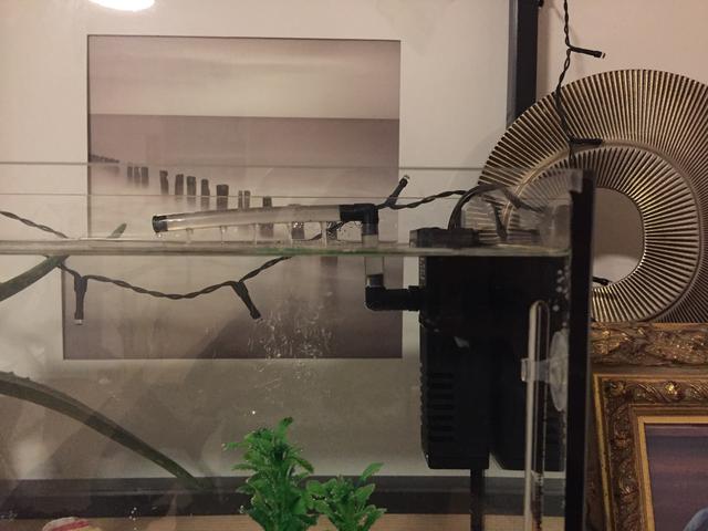 Picture for question