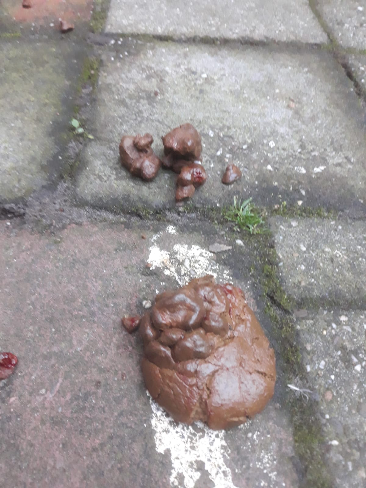 Picture for question