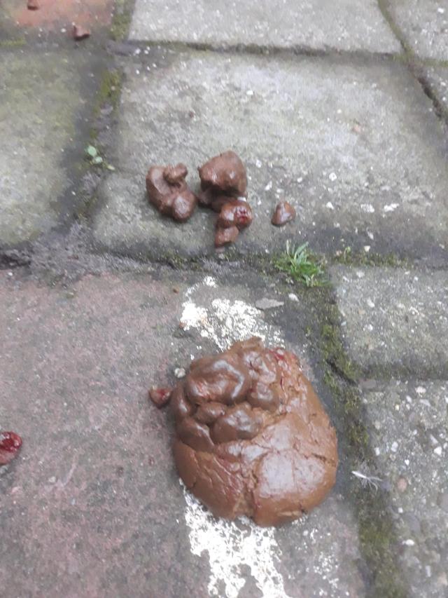 Picture for question