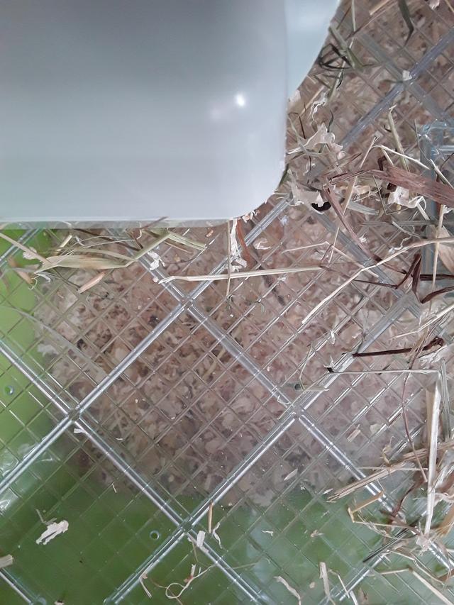 Plaatje bij antwoord