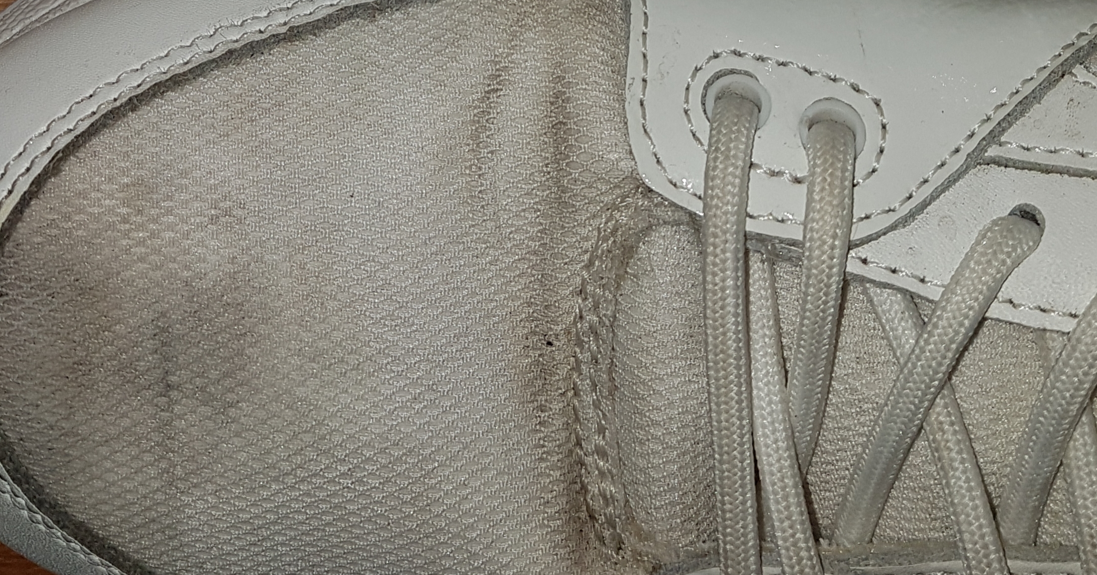 Picture for question