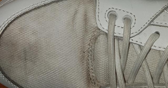 Picture for question