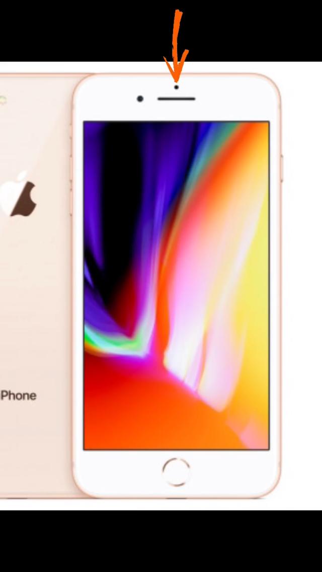 Picture for question