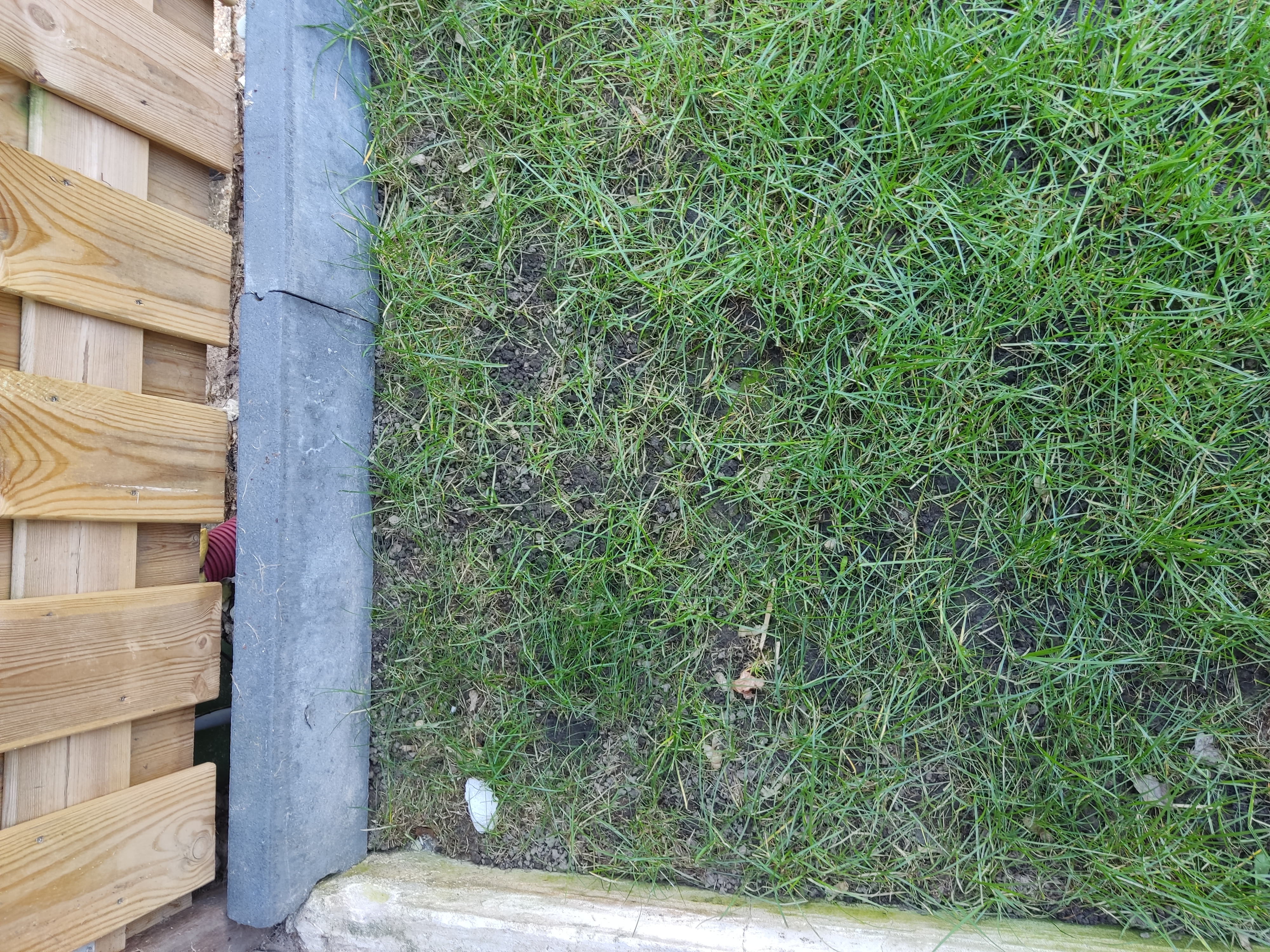 Picture for question