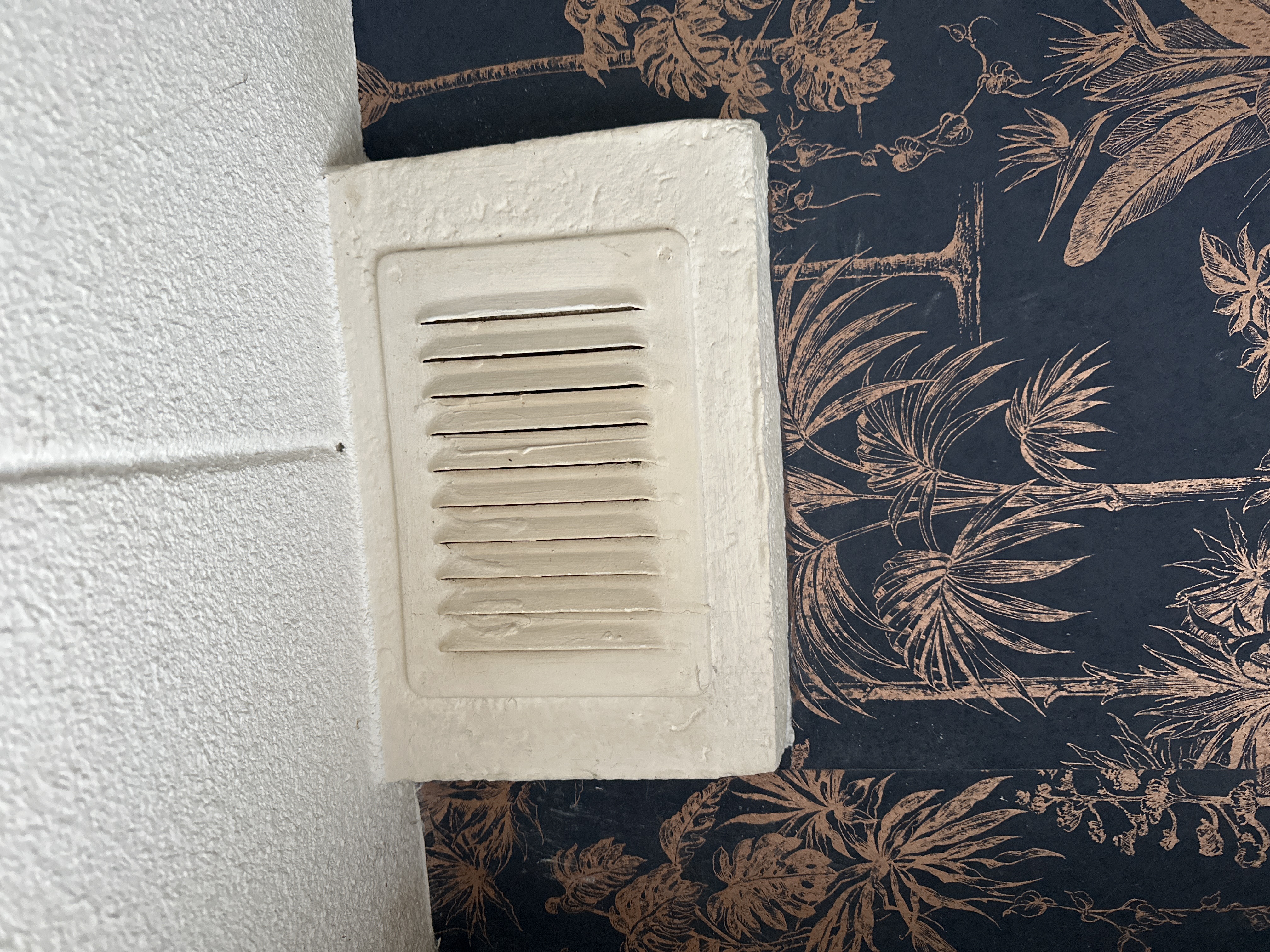 Picture for question