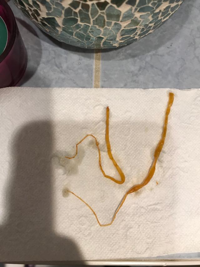 Picture for question