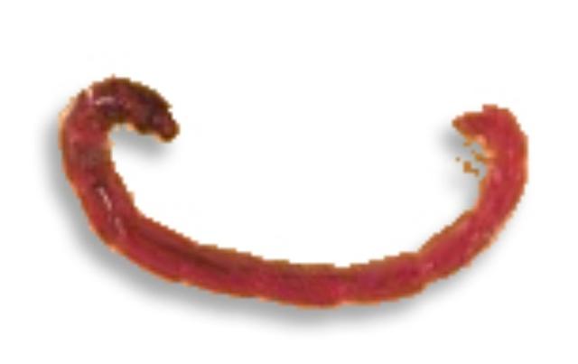 Plaatje bij antwoord