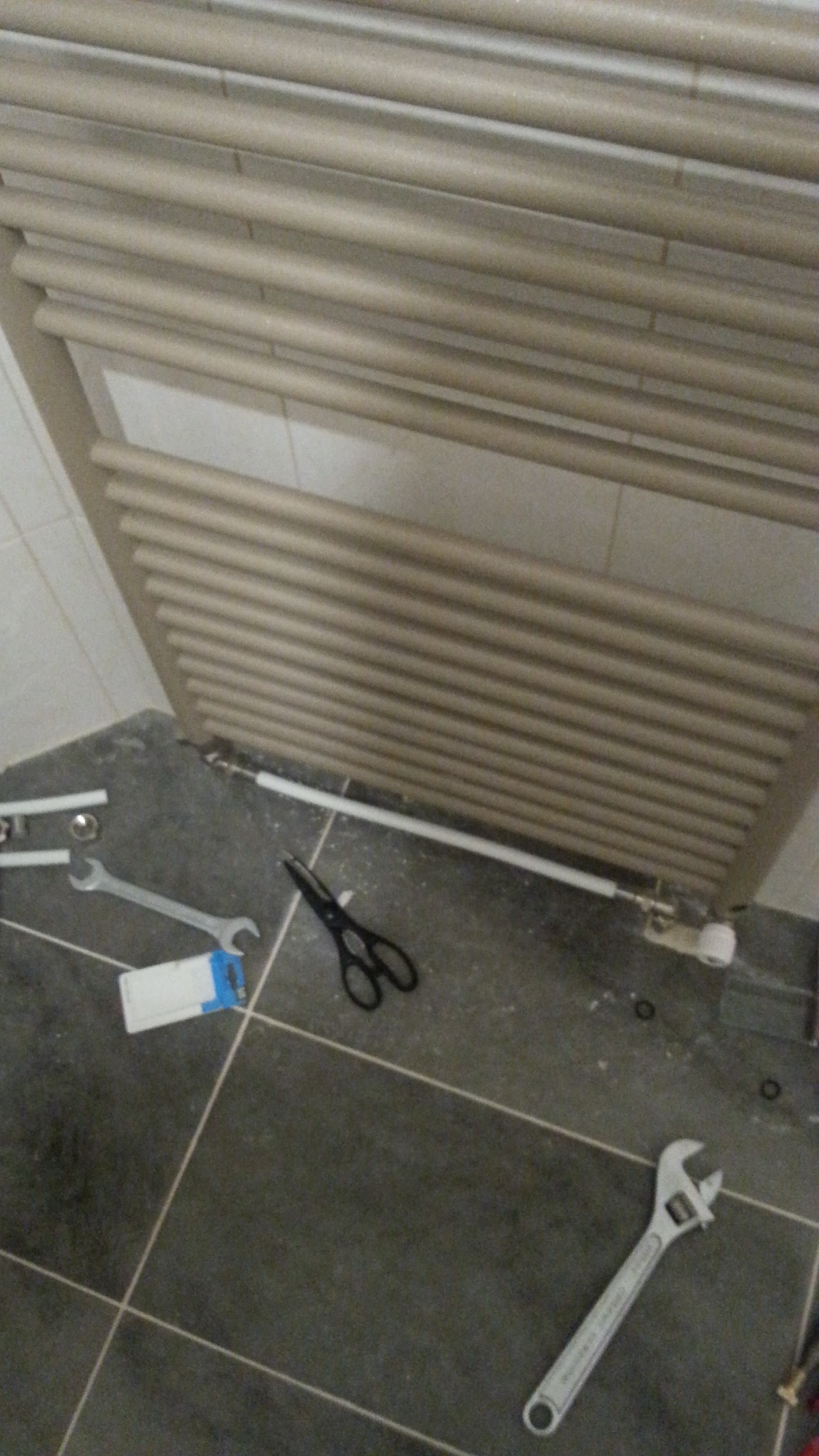 Picture for question