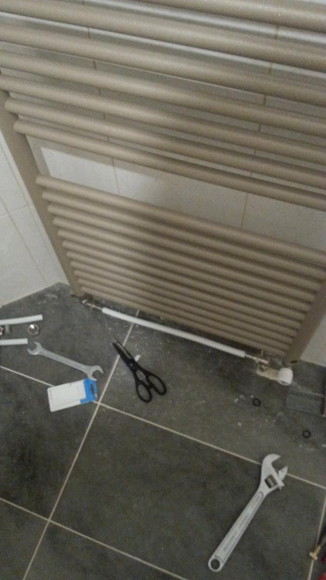 Picture for question