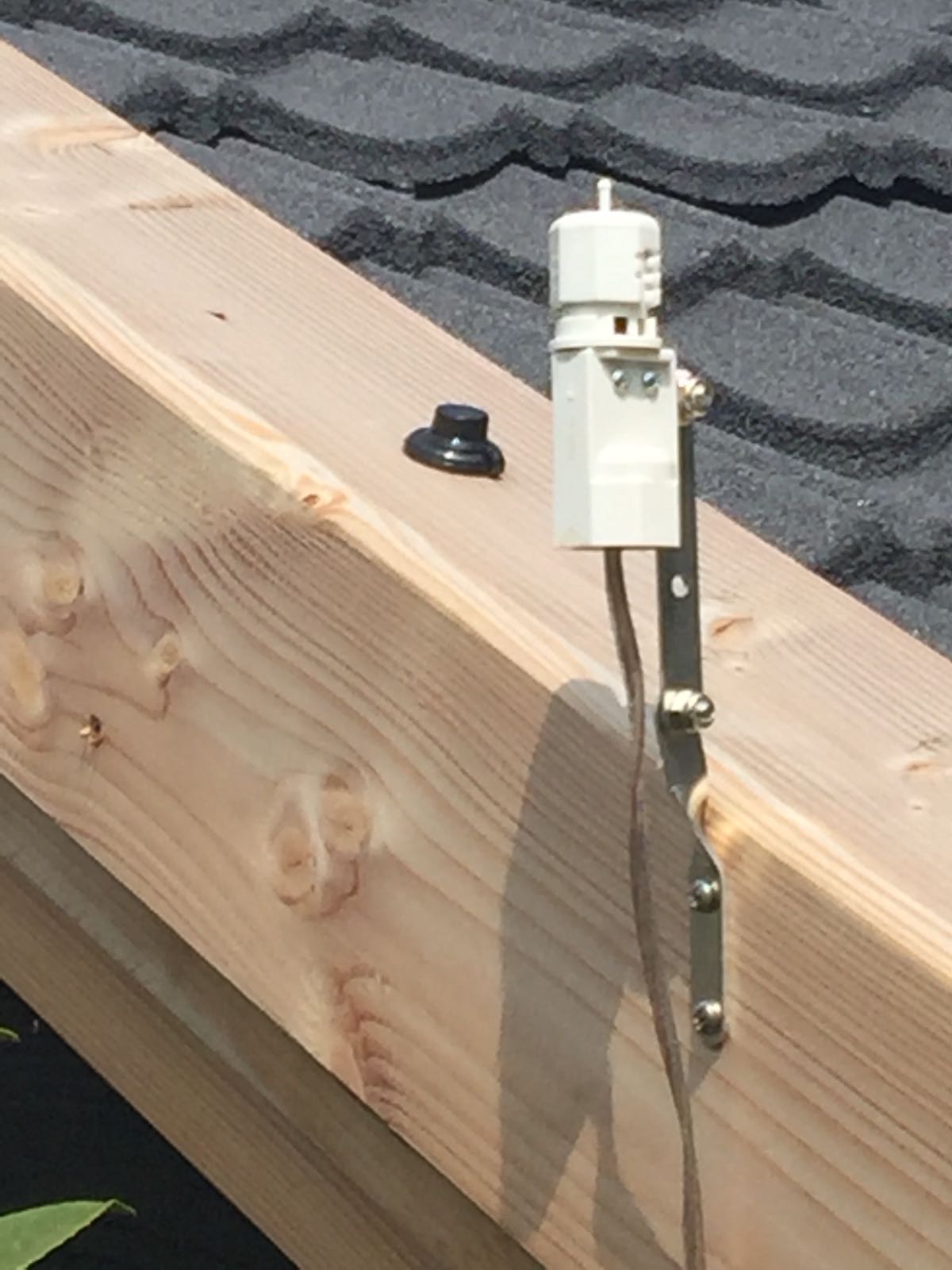 Picture for question