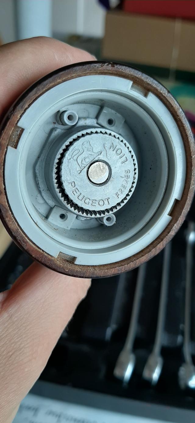 Picture for question