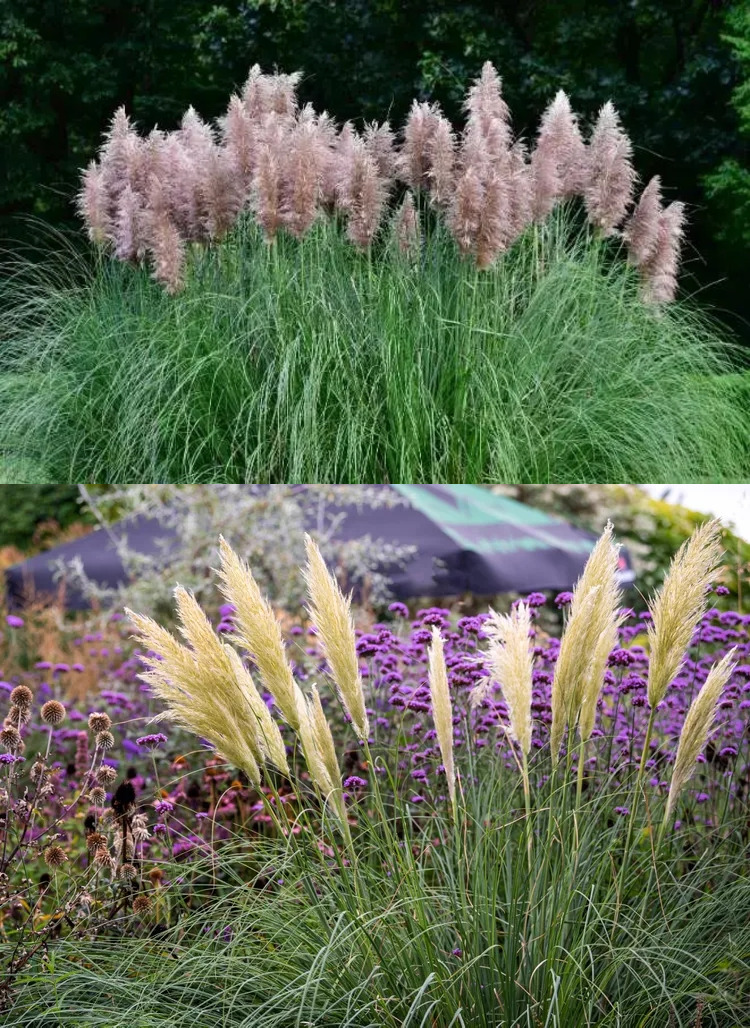 Plaatje bij antwoord