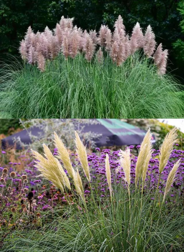 Plaatje bij antwoord