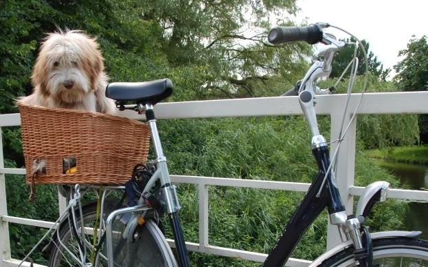 Plaatje bij antwoord