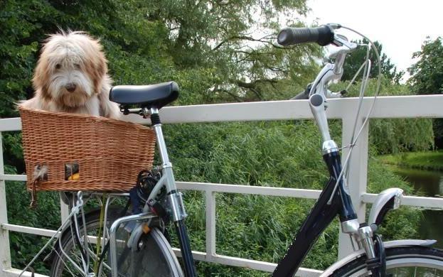 Plaatje bij antwoord