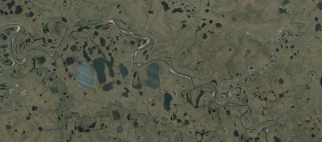 Picture for question