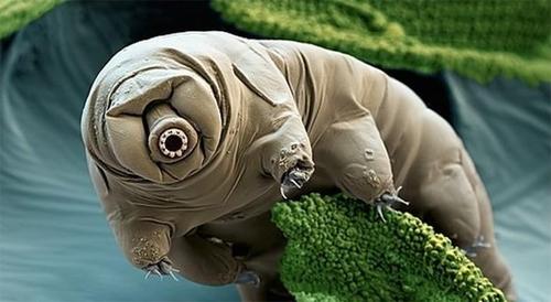 Plaatje bij antwoord