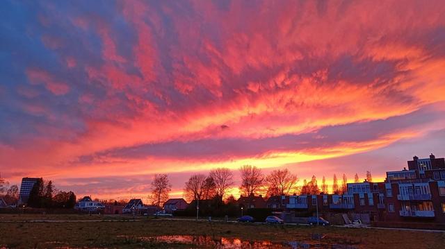 Picture for question