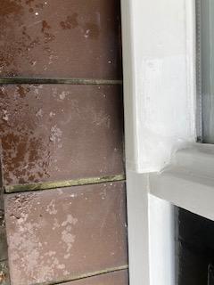 Picture for question