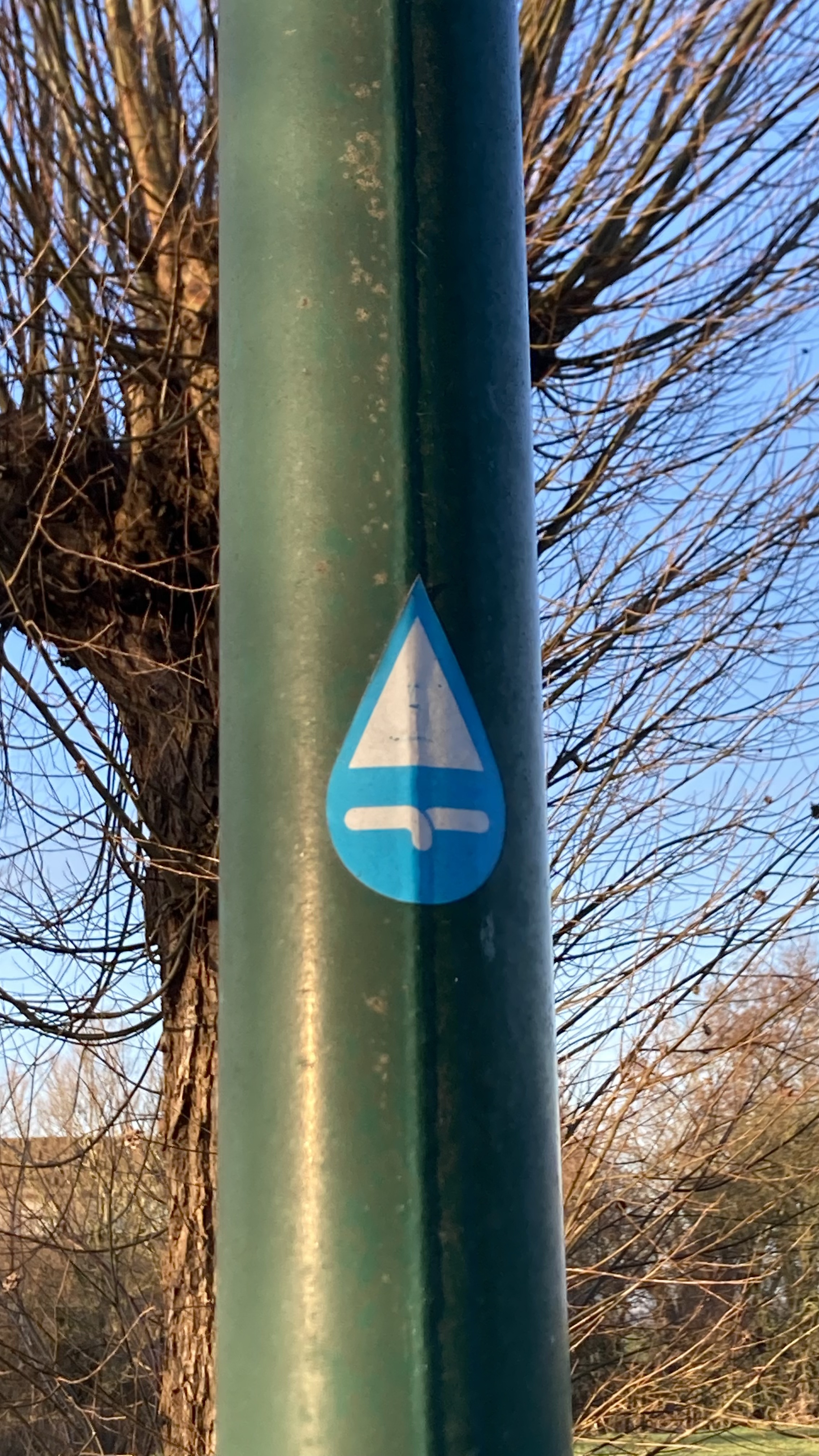 Picture for question