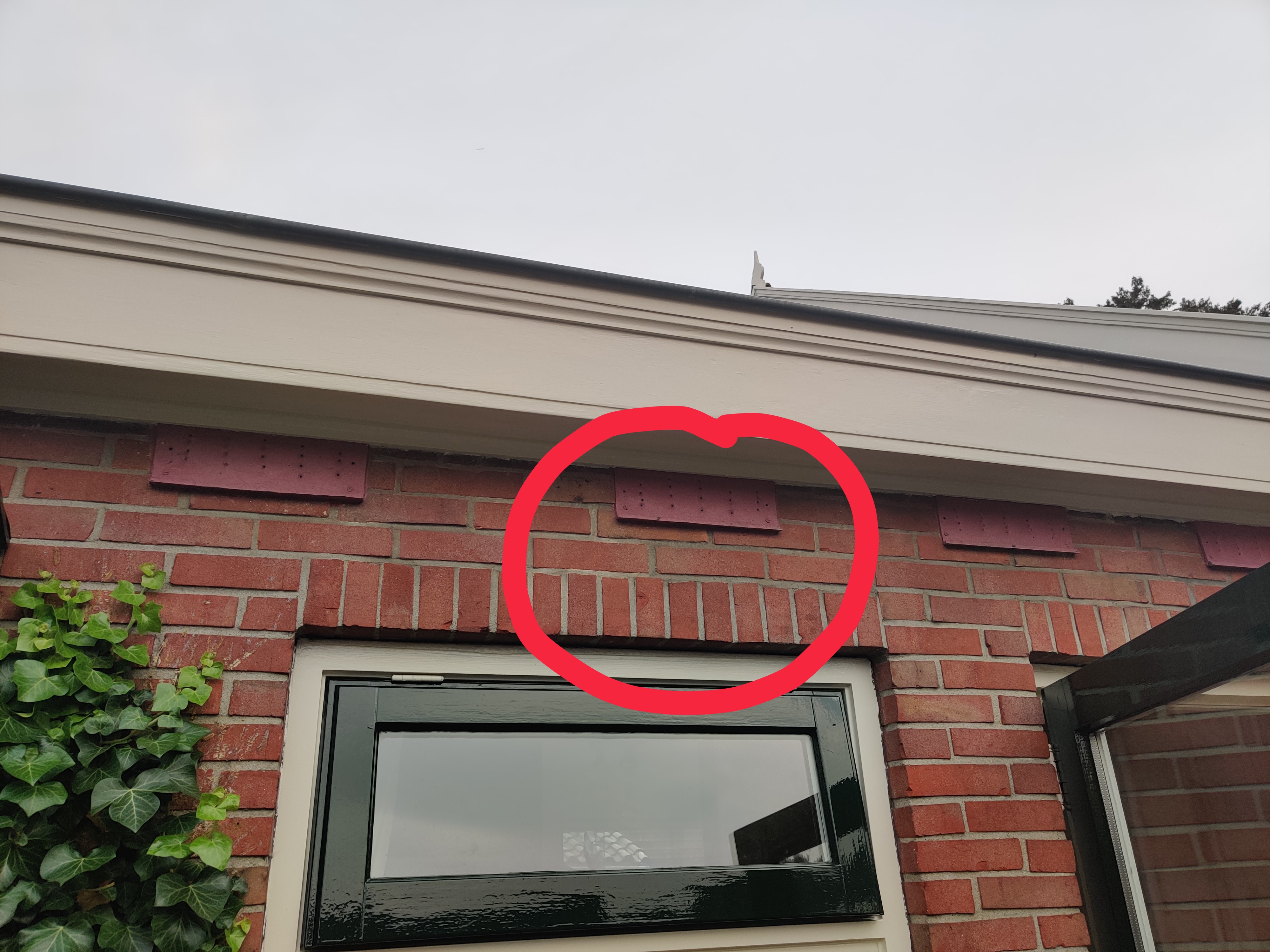 Picture for question