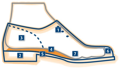 Picture for question