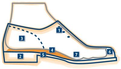 Picture for question