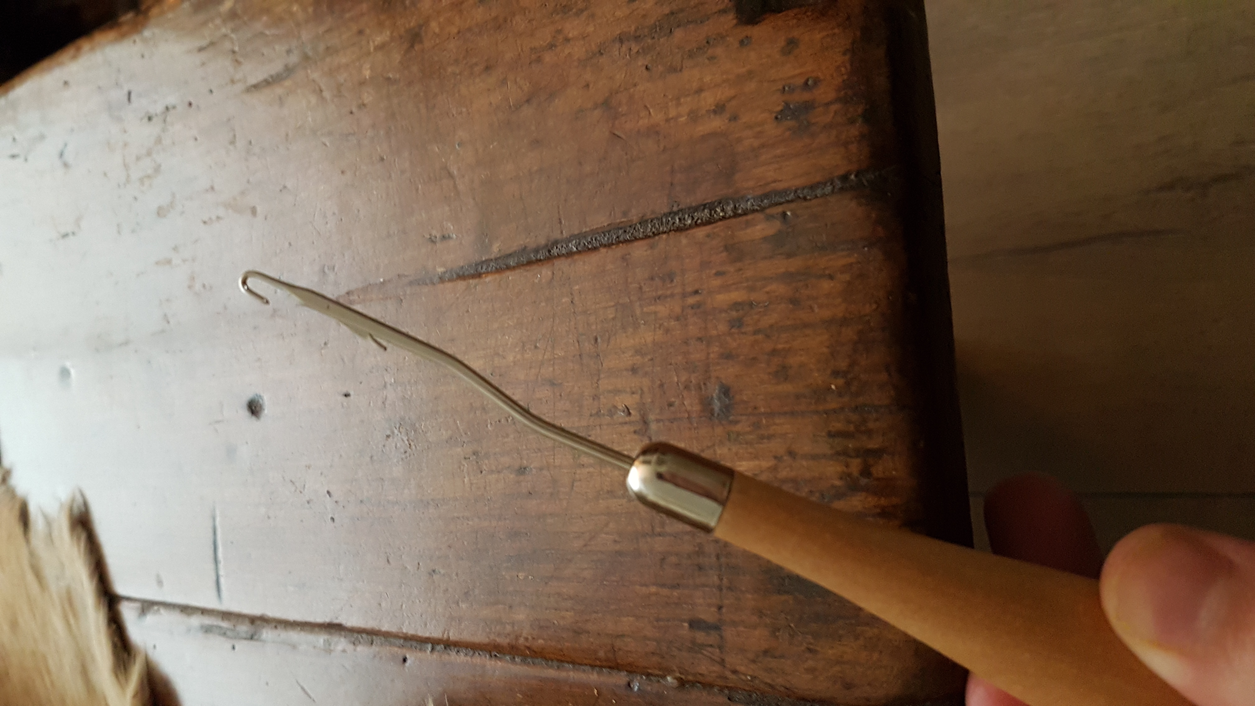 Picture for question