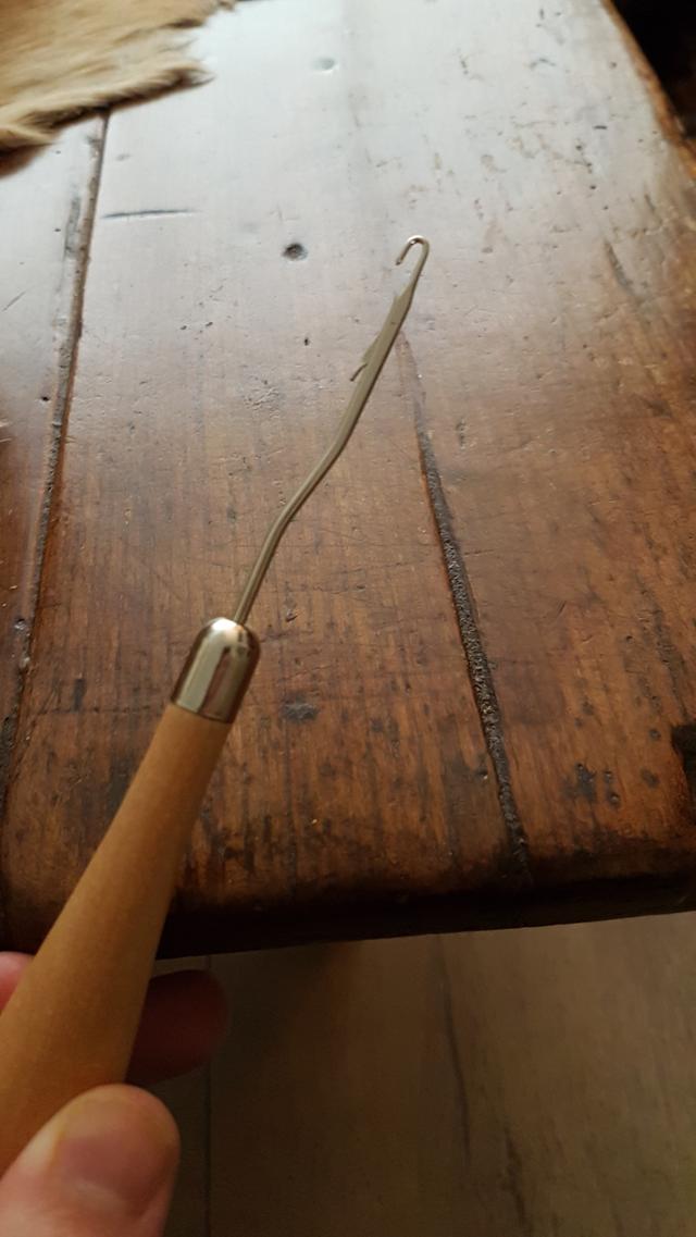 Picture for question