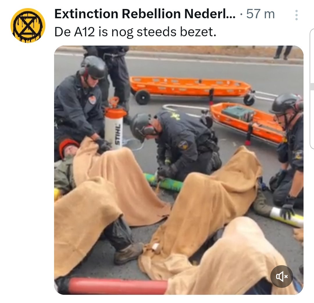 Picture for question