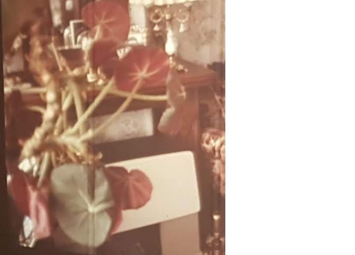 Picture for question